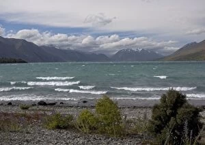 Images Dated 20th January 2005: Looking across Lake Ohau to the Neumann Range; southern alps, South Island, New Zealand
