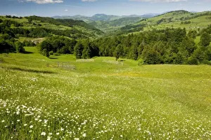 Romanian Prints: Looking towards the Rodnii mountains from near Nasaud; north Romania