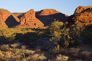 Images Dated 10th June 2008: Lost City at sunset - ancient sandstone formations carved out by the Finke river millions of years