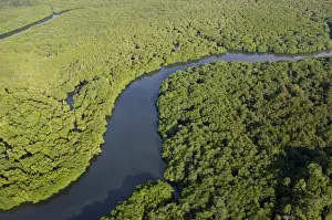 Meandering Prints: Lowland rainforest in a river-valley near Sandakan; helicopter view; Sabah