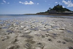 Images Dated 6th January 2010: Lugworm casts - photographed at low tide with St Michael's Mount in the background