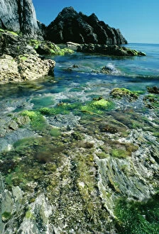 LUNDY Island - coastline at low spring tide