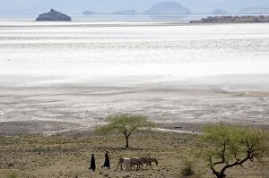 Maasai moving with donkeys near lake Natron