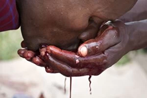 Bushmen Gallery: Maasai Tribesman - drinking Goats blood during