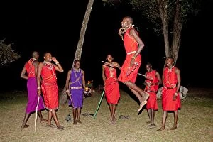 Images Dated 9th January 2009: Maasai Warriors jumping dancing