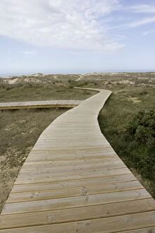 MAB-261 Long boardwalk over dunes to beach