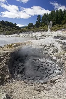MAB-317 Hells Gate / Tikitere Maori owned geothermal reserve - mud fumarole and sulphur lake