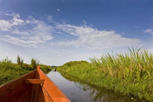 Wetlands Gallery: The Mabamba wetlands near Kampala are famous