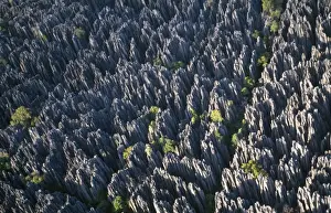 Pinnacle Prints: Madagascar - Aerial of Tsingy de Bemahara National Park - showing part of the Ankarana Limestone Massif