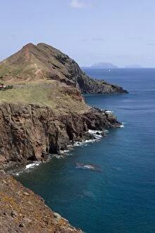 Madeira Island - high cliffs - Common yellow wall-lichen