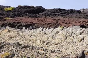 Madeira island - Volcanics rocks