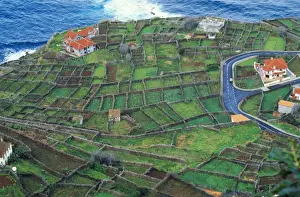 Heathers Prints: Madeira ROG 9526 Tiny fields hedged with Tree Heather