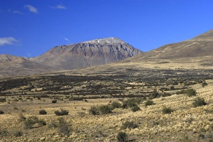 Images Dated 10th April 2009: Magallanes Peninsula - Patagonia - Argentina