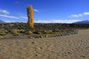 Images Dated 10th April 2009: Magallanes Peninsula - Patagonia - Argentina