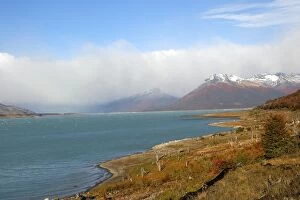 Images Dated 10th April 2009: Magallanes Peninsula - Patagonia - Argentina