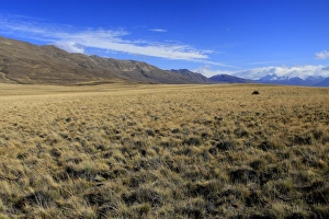 Images Dated 10th April 2009: Magallanes Peninsula - Patagonia - Argentina