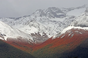 Images Dated 8th April 2009: Magallanes Peninsula - Patagonia - Argentina