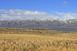 Images Dated 8th April 2009: Magallanes Peninsula - Patagonia - Argentina