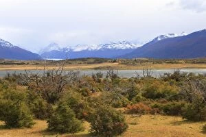 Images Dated 9th April 2009: Magallanes Peninsula - Patagonia - Argentina