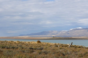 Images Dated 7th April 2009: Magallanes Peninsula - Patagonia - Argentina