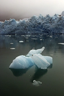 Images Dated 20th August 2003: Magdalene Glacier Svalbard, Norway