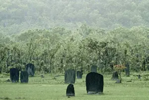 Magnetic Termite Mounds - Northern Territory - Australia