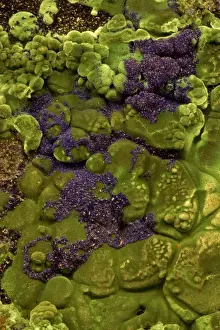 China Prints: Malachite and Azurite - Copper minerals from Liu Feng Mine Shan Mine - Anhui Province - China
