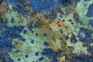 Images Dated 31st January 2006: Malachite and Azurite - Copper minerals from Oujda Morocco