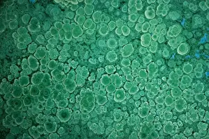 Malachite Prints: Malachite mined from Bagdad Copper Mine in Bagdad Arizona, USA