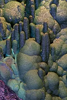 Congo Prints: Malachite Stalactites - The Anemones - Star of Congo Mine - Congo
