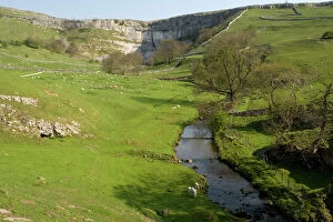 Images Dated 10th May 2006: Malham Cove and the river issuing from it. Spring. Yorkshire Dales
