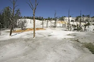 Energy Prints: Mammoth Hot Springs Yellowstone National Park, USA
