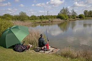 Images Dated 4th May 2010: Man carp fishing in lake in summer