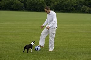 Man - playing football with Boston Terrier dog