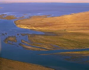 Images Dated 16th January 2009: Margaret River flowing into Lake Eyre South Lake Eyre National Park, South Austraia JPF53063