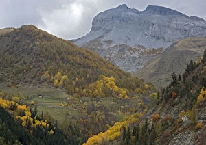 Maritime Alps: pass, north side of the Col d'Allos in autumn France