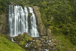 Marokopa Falls Marokopa river drops over the edge into a wide gorge which flanks are clad by lush temperate rainforest with Nikau Palms Waitomo, King Country, North Island, New Zealand