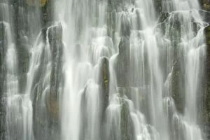 Images Dated 14th March 2008: Marokopa Falls - waters of Marokopa river plunging down into a wide gorge