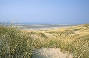 Images Dated 1st October 2007: Marram Grass - & sand dunes Wales