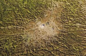 Marshland with animal trails and termite hill aerial view