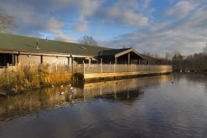 Images Dated 18th December 2012: Martin Mere Wildfowl and Wetlands Trust