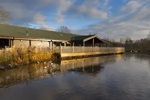 Reserves Prints: Martin Mere Wildfowl and Wetlands Trust - Lancashire, UK