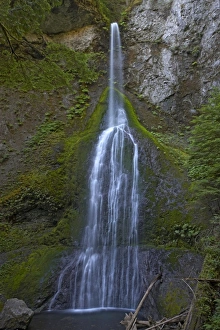 Images Dated 12th May 2006: Marymere falls - Olympic National Park, Washington State, USA LA001462