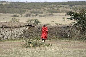Images Dated 20th August 2008: Masai Warrior - in manyatta - near Masai Mara Reserve