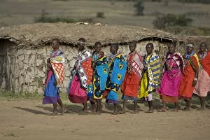 Images Dated 20th August 2008: Masai Women - ceremonial dancing and singing