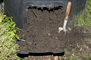 Recycling Prints: Mature compost full of red worms