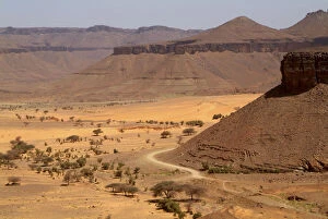 Mauritania, Adrar, White valley, N tourvine