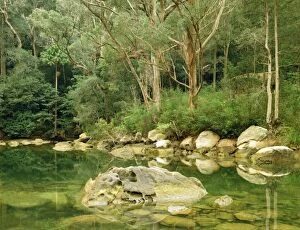 Images Dated 6th January 2009: McCarras Creek Ku-ring-gai Chase National Park, Sydney, New South Wales, Australia JPF25328