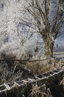 ME-1815 landscape in winter - with frosted bridge - countryside