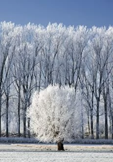 ME-1818-C landscape in winter - countryside - Belgium